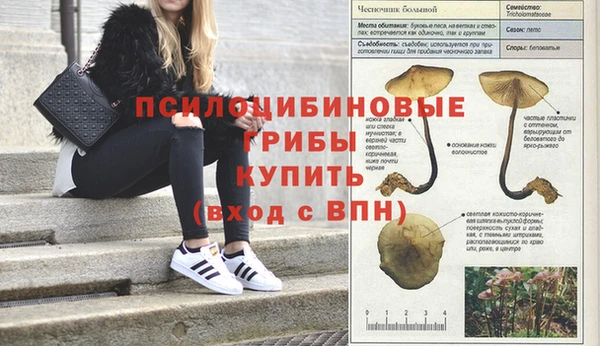 стафф Алексеевка